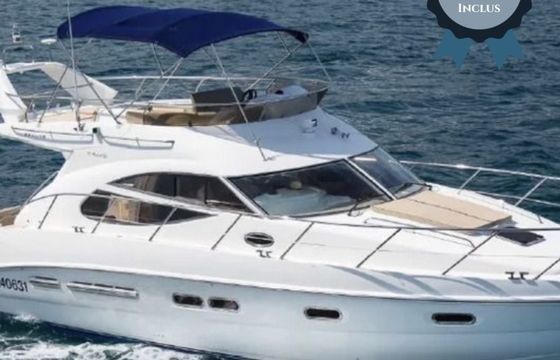 Sealine F425