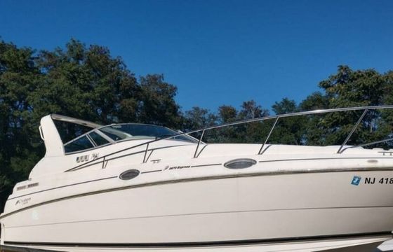 Cruisers 2870