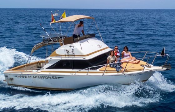 Bertram 28 flybrigde
