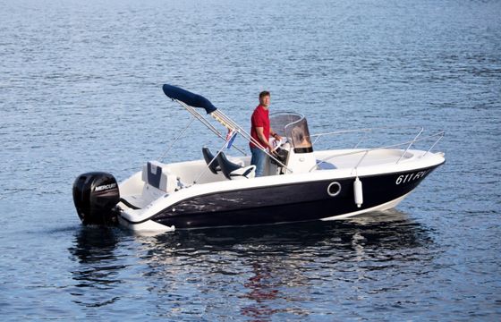 Fisher 20