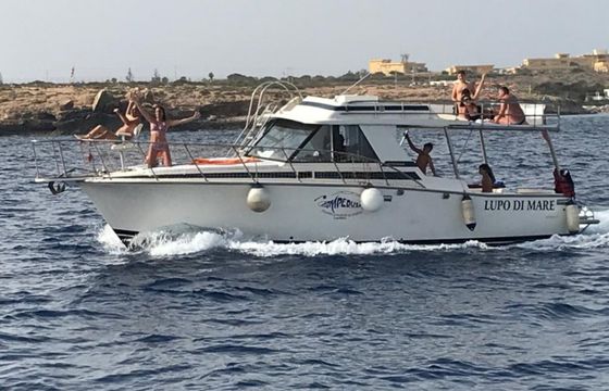 Beltram 33