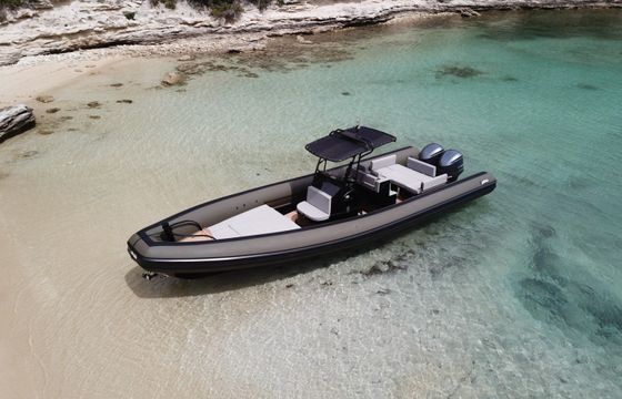 Sea Water Phantom 300