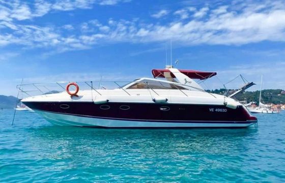 Princess V40