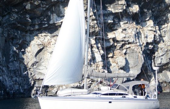 Delphia 40