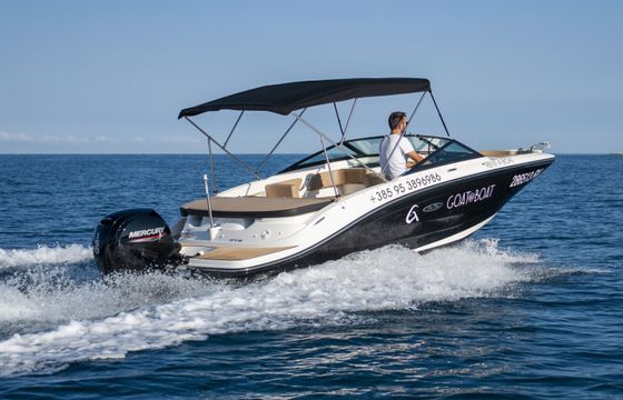 Sea Ray SPX 190 OB