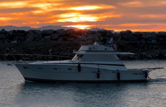 Viking 41