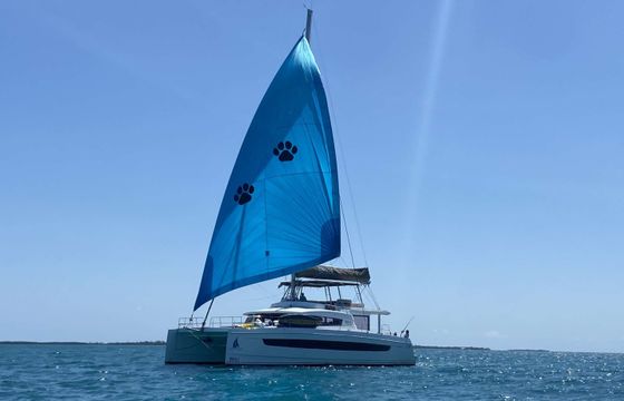 Bali NAUTI DOGS 5.4