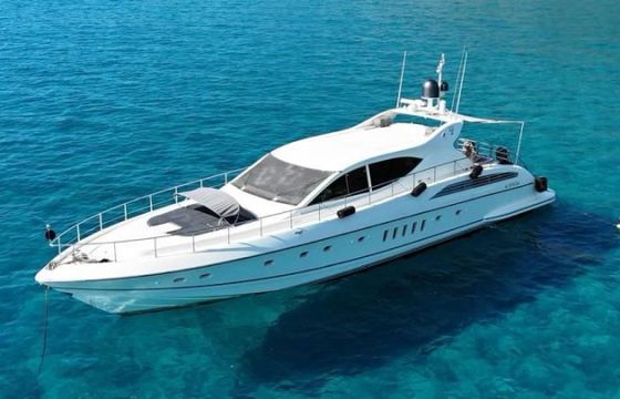 Arno Leopard Leopard 24