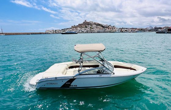 Cobalt 220