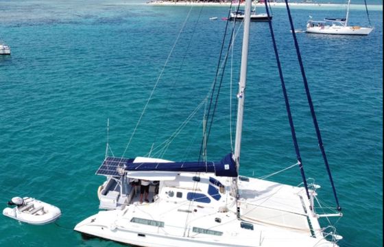 Edel Cat 36