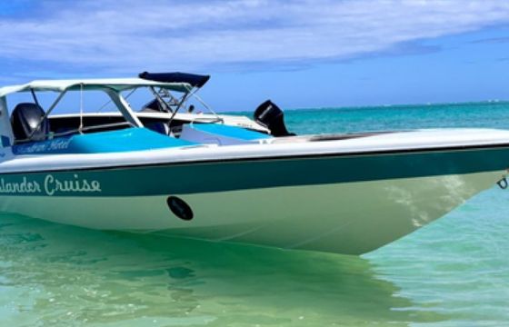 Cobra26