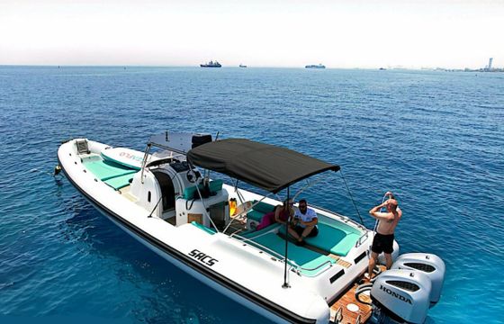 Sacs Stratos 12