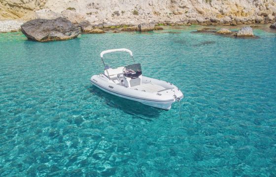 Salpa Soleil 20
