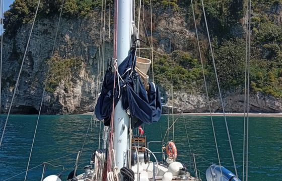 Orca 43