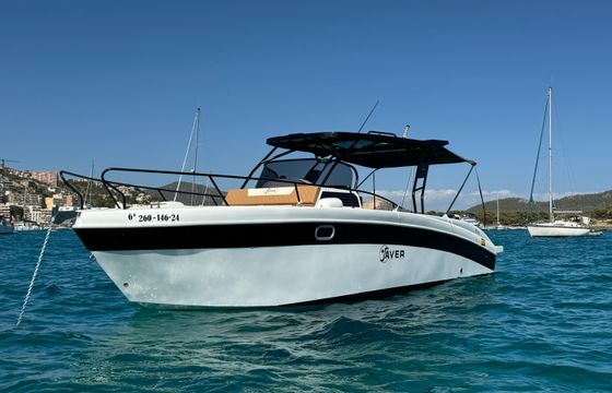 Saver 870 WA