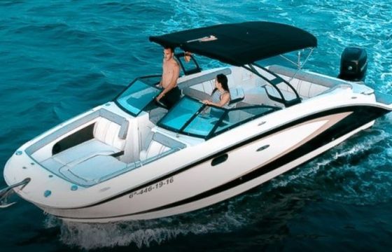 Sea Ray 270