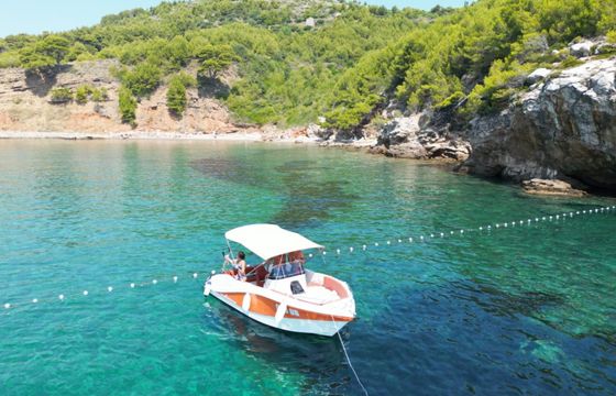 Barracuda 545 open