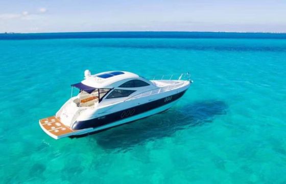 Cruisers Cruiser 55