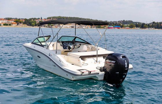 Sea Ray SPX 190