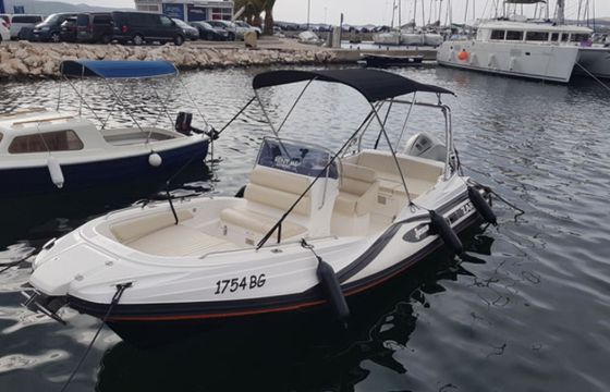 Zar 61