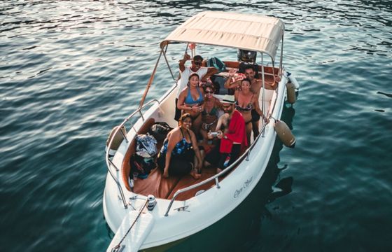 Albatross 22