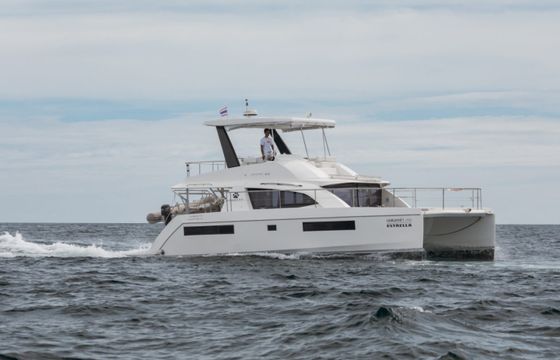 Leopard 43