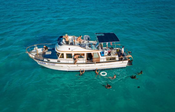 Defever 40