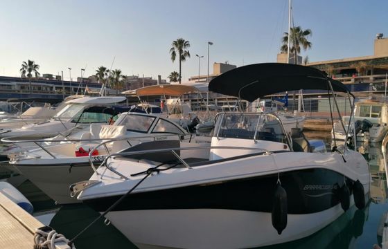 Barracuda 545
