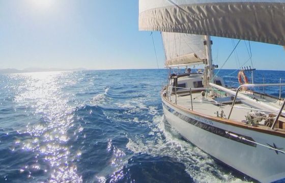 Belliure Endurance 35