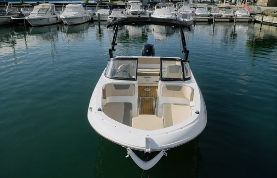 BAYLINER VR4