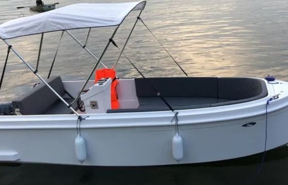 FALON 490 CHARTER