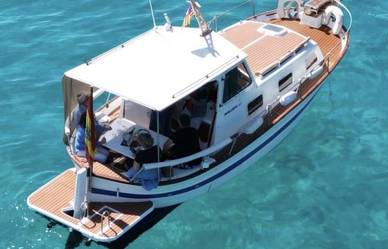 Majoni 40