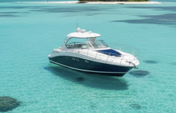 Sea Ray SUNDANCER 420