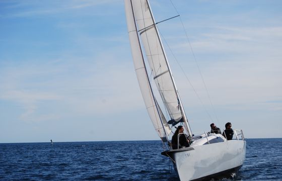 Viko 22s