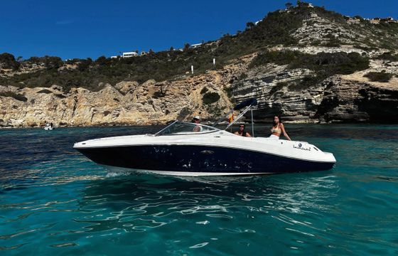 Sea Ray 230