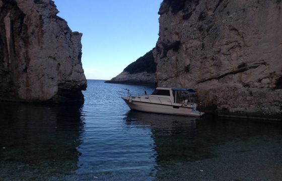 Damor 800