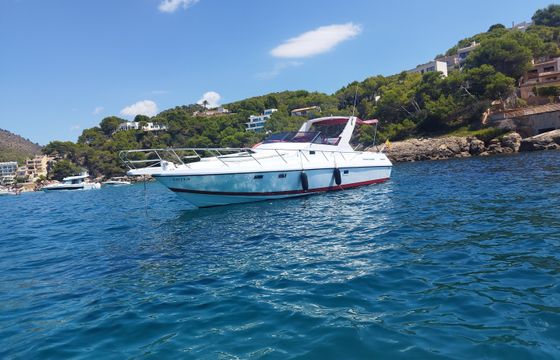 Guy Couach 1000 Sport