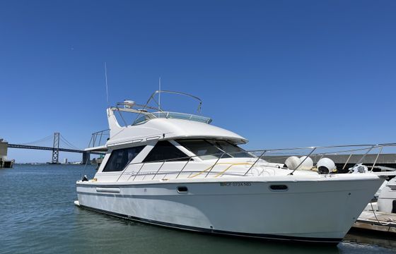 Bayliner 3988