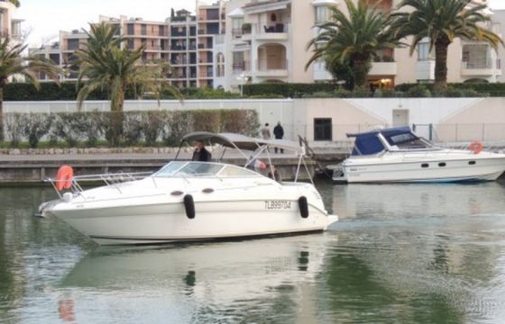 Sea Ray 260 Sundancer
