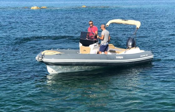 Salpa Soleil 20
