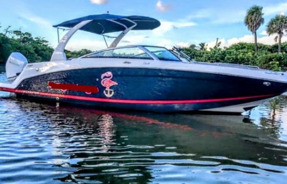 Four Winns HD 270 OB