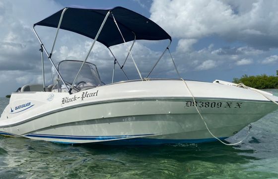 Quicksilver 505 Commander