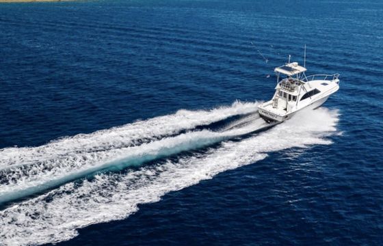 Luhrs 32 tournament