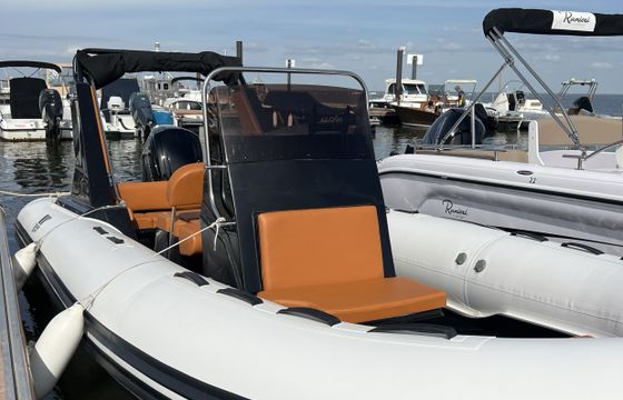 Tiger 600 Topline