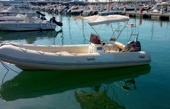 PEGASO 560