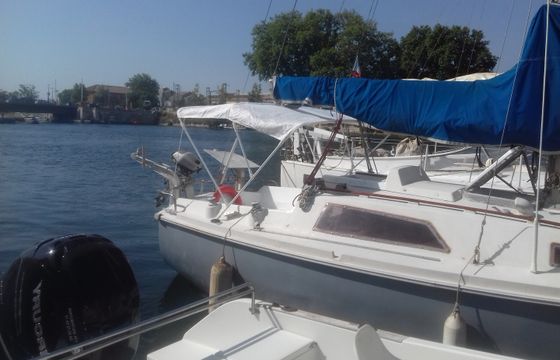 Aloa 27