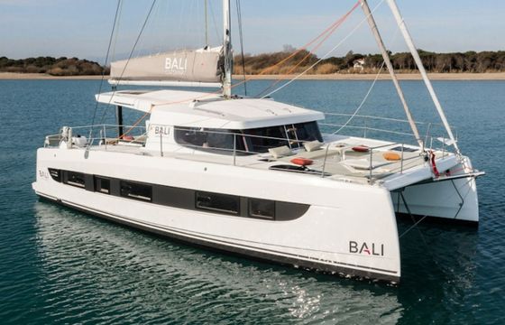 Bali Catsmart