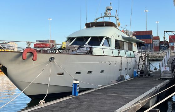 Elkins Trquin 66