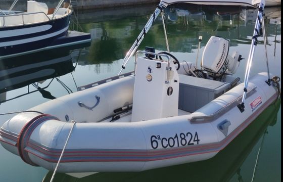 Narwhal 400
