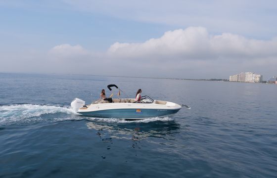 Bayliner VR6 OB